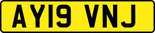 AY19VNJ