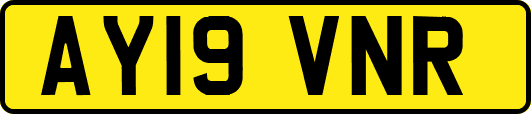 AY19VNR