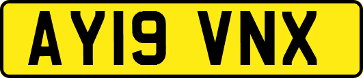 AY19VNX