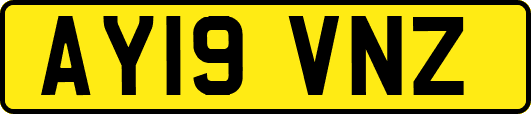 AY19VNZ