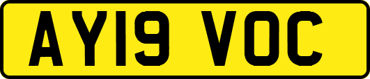 AY19VOC
