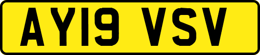AY19VSV