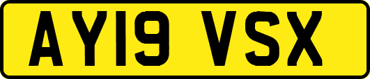 AY19VSX