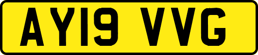 AY19VVG