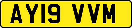AY19VVM