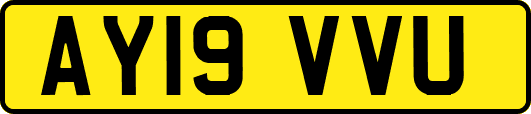 AY19VVU