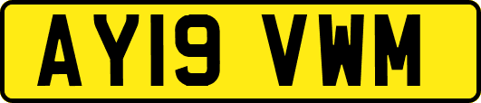 AY19VWM