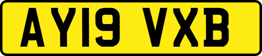 AY19VXB