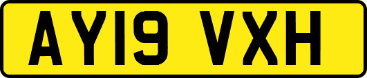 AY19VXH