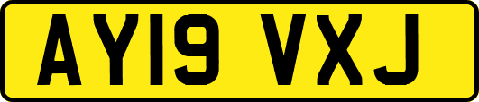 AY19VXJ