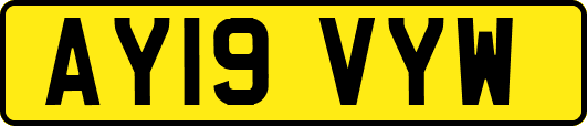 AY19VYW