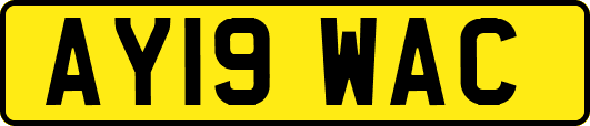 AY19WAC