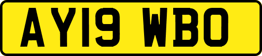 AY19WBO