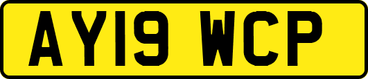 AY19WCP