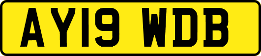 AY19WDB