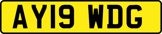 AY19WDG