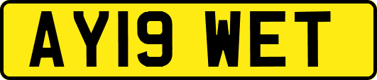 AY19WET