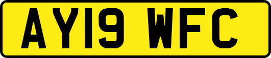 AY19WFC