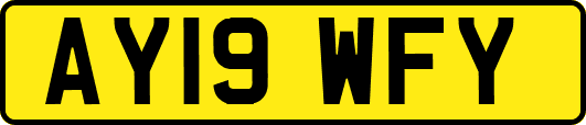 AY19WFY