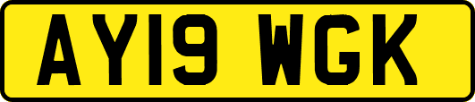 AY19WGK