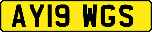 AY19WGS