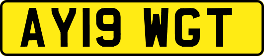 AY19WGT