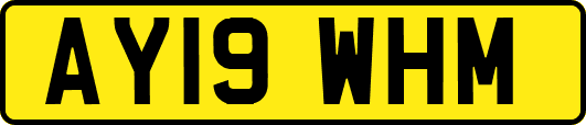 AY19WHM