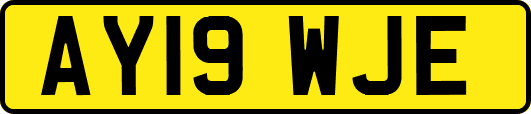 AY19WJE