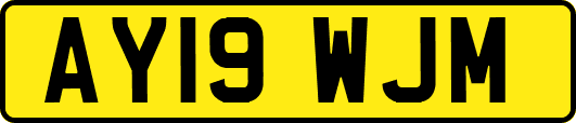 AY19WJM