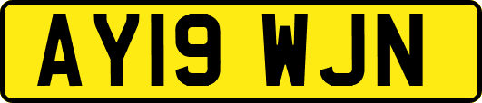 AY19WJN