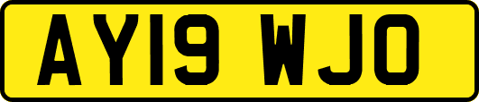 AY19WJO