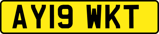 AY19WKT