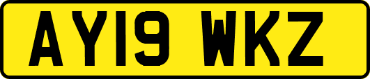 AY19WKZ