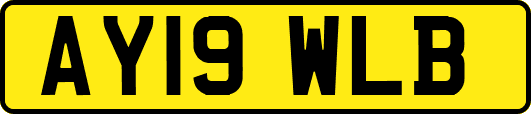 AY19WLB