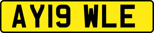 AY19WLE