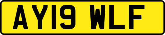 AY19WLF
