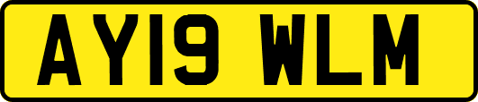 AY19WLM