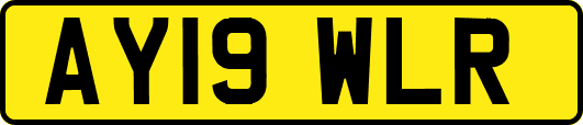 AY19WLR