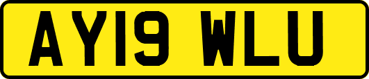 AY19WLU