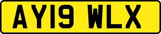 AY19WLX