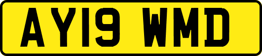 AY19WMD