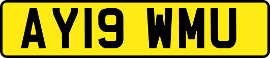 AY19WMU