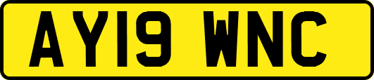AY19WNC