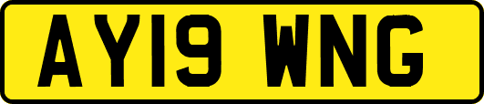 AY19WNG