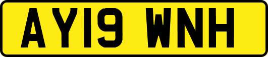 AY19WNH