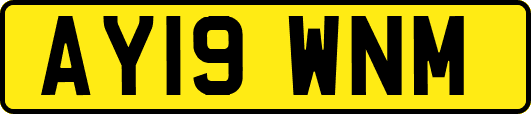 AY19WNM