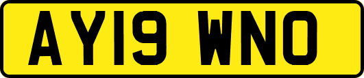 AY19WNO