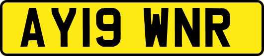 AY19WNR
