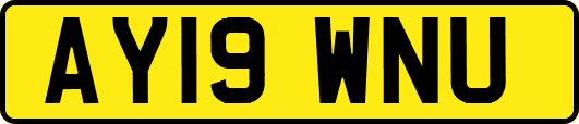 AY19WNU