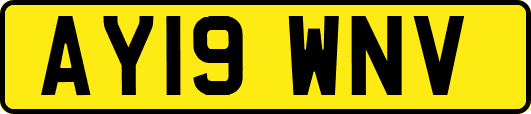 AY19WNV